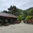 백아한우 이미지