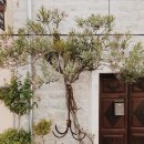 일상도 여행이 되는 글쓰기 이미지