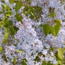 흥업뼈다귀해장국 이미지