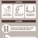 천수축산 | 천수를 누리리라, 명작수 천 21일 (84만원) 복용(服用) 🔴후기🔴 by 아모레이루