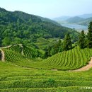 대한농장2 이미지