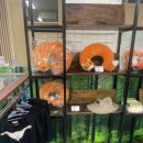 국립공원야생생물보전원 중부보전센터 이미지