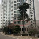 반송조은약국 이미지