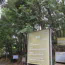 열명의농부채식당 이미지