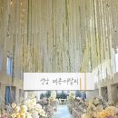 탈리 | [메종디탈리 후기] 버진로드｜주차｜장단점_햇살 아래 신비로움 한가득 (ft.여자 사회자)