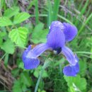 버스정류소_신촌로터리 이미지