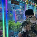 유한회사 제이마트 | Day2 한진관광 푸켓 패키지 정실론 빅씨마트 프롬텝곶 쓰리몽키즈카페 올드타운 야시장 똠양꿍