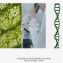 풍년농약식물병원 | 암웨이 더블엑스 종합 비타민 리필, 내 돈 내산 7년 먹은 효과 후기