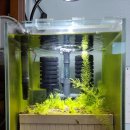 새우일 산소 이미지