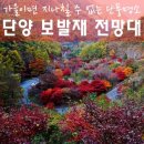 11월16일 리마 출사 晩秋 마법의 미로 보발재 &amp;사인암,구인사 소원을 말해봐~!! 이미지