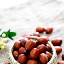 양달농장 이미지