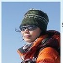 솔밭 1994 이미지