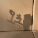 오초 오늘의초밥 로고