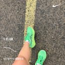 진천천 | 대구 달서구 러닝코스 추천 진천천 5km 후기 산책로 초보 런린이 코스