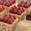 베이킷(Bakeat) 이미지