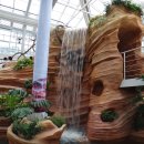 경주동궁원 이미지