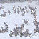 우현목장 이미지