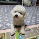 루미살롱 이미지