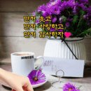 오늘에 행복해 하고 감사하자🌸 이미지