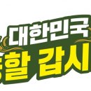 237마트 이미지