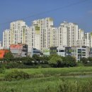 로체 스크린골프 이미지