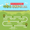 비엔나시내투어 내돈내산 후기/비엔나립맛집/8월 가볼만한 곳 필름페스티벌