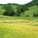 다운목장 이미지