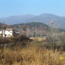 산지골민박 이미지