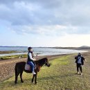 성산읍 고성리 352-4 | [제주도] 이상적인 해변승마를 즐기고 싶다면~ 추천하고 싶은 사진맛집 &lt;광치기해변승마&gt;