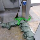 옥산프라자 이미지