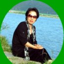 나비사랑 이미지