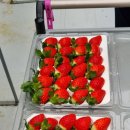 율이네농장 이미지