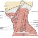 계림한의원 이미지