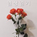 맘.핸즈셀프빨래방
