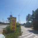 염치미남칼국수 | 염치미남칼국수 방문상담 일지 (염치 / 아산)