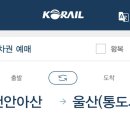 천안아산역 다소 아쉬운 호두과자 맛집 천안명가 흑미호두과자 내돈내산 후기