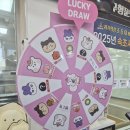 멍브레드 | [속초 가볼만한곳] 과자의성 멍브레드 &amp; 냥브레드와 함께하는 속초기념품 테마파크 투어 🏰