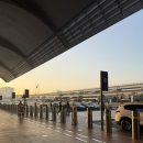 초콜릿 | 두바이공항 픽스초콜릿 후기 | 가격 / 위치 / 종류🍫솔직 리뷰🤎