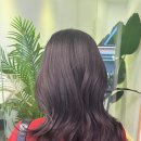 원도안로-23 이미지