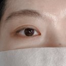선명빌딩 | [이천/나은뷰티] 선명한 블랙 속눈썹펌 받은 후기 !