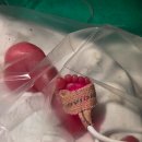 11620-12-67-2 | 세브란스병원 산부인과 제왕절개 분만 어린이병원 67병동 1인실 4인실 후기