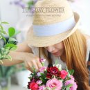 화요일플라워 이미지