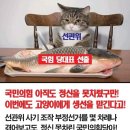 또 여론조작,선거조작할 게 뻔~한데도 계속 선관위에 선거를 맡기고 맹종하는 자들과 실효성 없는 말 시위만 벌이는 자들 모두 반역자들! 이미지