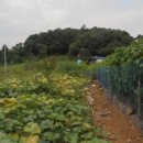 장탄1리 마을회관 이미지