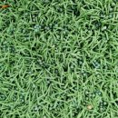 청송군민운동장 | 청송군민운동장 유지관리 후기