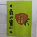 딸기청맛집~인천 연수구 딸기씨네수제청