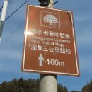 반송 관광펜션 이미지