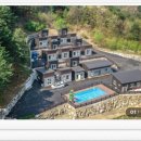 두바이애견풀빌라2 이미지