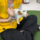 (주)마루펫 | 반려마루 화성 고양이센터 주말 오전 봉사활동 후기