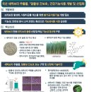 보리누리